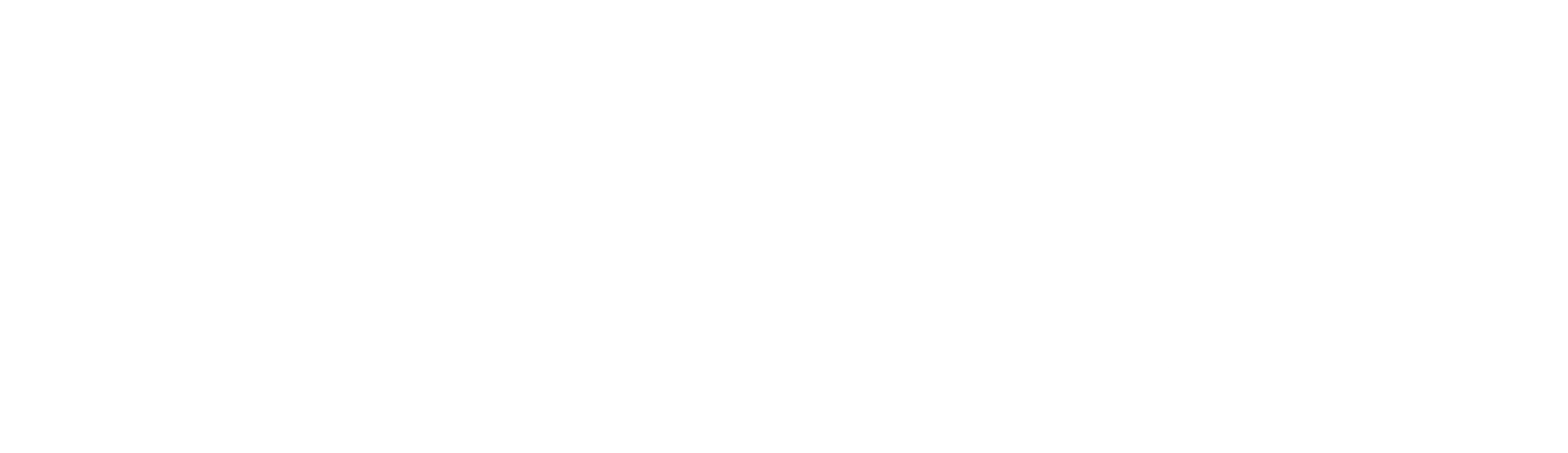 Solvian Consultancy LLP